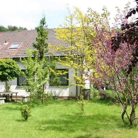 Pension Haus Zum Schlehenberg Bayreuth Eksteriør billede